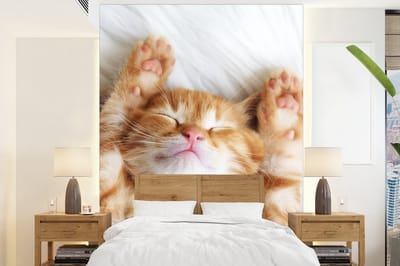 Behang - Fotobehang Kat - Rood - Huisdieren - Kitten - Breedte 205 cm x hoogte 280 cm