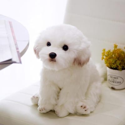 Hoge Kwaliteit Simulatie Maltezer Hond Pluche Speelgoed Knuffeldier Realistische Schnauzer Bichon Frise Speelgoed Voor Luxe Huisdecoratie Huisdier Cadeau St Praktisch Gebruik 38cm gray