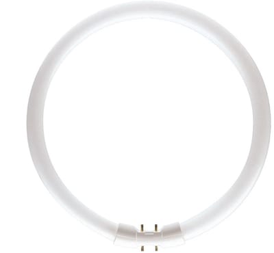 Traditionele ronde TL5 TL-buis 2GX13 22W/840 | 23cm | 4000K Koel Wit | 2GX13 (4 pins) | 22 watt | 12.000 Branduren