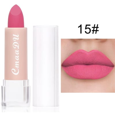 15 kleuren Matte Lipsticks Waterdicht Langdurige Sexy Rode Lip Stick Make-Up Bruin Fluwelen Pigmenten Lip Tint Profissional Cosmetische 15