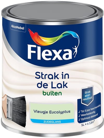 Flexa - Strak In De Lak Buitenlak Zijdeglans - Vleugje Eucalyptus - Mengverf - 1 L