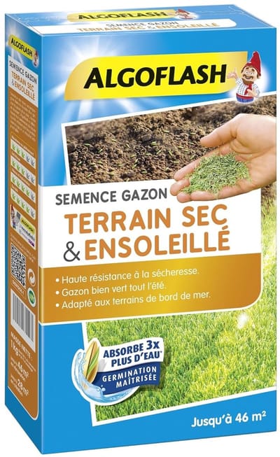 Graszaad Mengsel - Zon Graszoden - Droge Locaties - Waterbesparend Systeem - 1 kg tot 46 m²