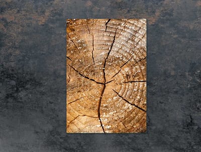 TMK ArtDeko - Snijplank van Gehard Glas - 35x52 cm - Veilig en Hygiënisch - Hittebestendig - Veelzijdig Gebruik