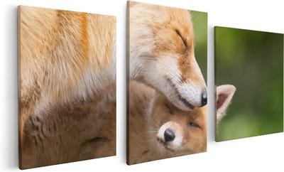 Artaza Canvas Schilderij Drieluik Moeder Vos met haar Welp  - 120x60 - Foto Op Canvas - Canvas Print
