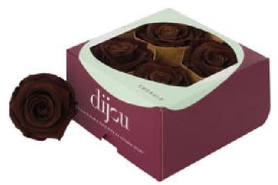 4x Rose preserved dc ebony
