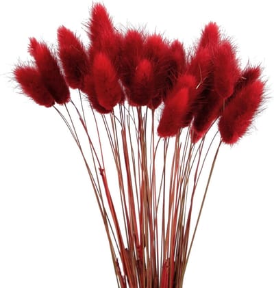 Gedroogde bloemen decoratie - Pampasgras decoratie - Boho interieur - Natuurlijk & pluizig - 40 cm hoogte - Rood