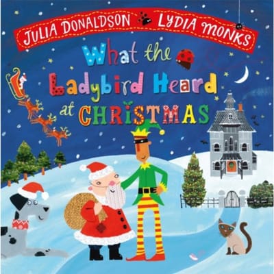 What The Ladybird Heard At Christmas - Julia Donaldson