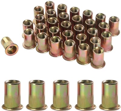 Dailygoody - Nietmutter - Klinkmoeren - Hoogwaardige corrosiebestendigheid - 30 stuks - Koolstofstaal - Perfect voor metalen platen en buizen - Verzinkt