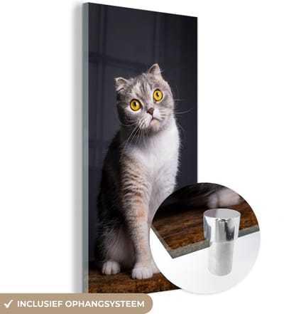 MuchoWow® Glasschilderij 20x40 cm - Schilderij acrylglas - Kat - Ogen - Licht - Foto op glas - Schilderijen