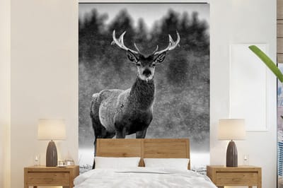 Behang - Fotobehang Dieren - Hert - Winter - Zwart - Wit - Breedte 180 cm x hoogte 280 cm