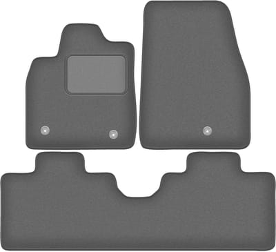Grafiet automatten voor: Ford Mustang Mach-e 0 (2020-)