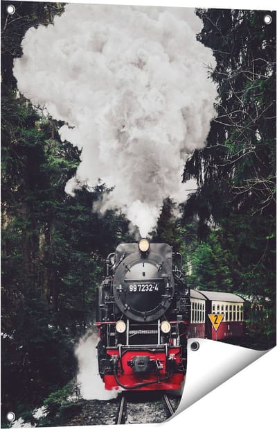 Gards Tuinposter Locomotief in de Bossen met Stoom Wolken - 60x80 cm - Tuindoek - Tuindecoratie - Wanddecoratie buiten - Tuinschilderij