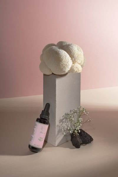 The Cosmic Club 444 Mushroom Blend – 4 Biologische Paddenstoelen – Tinctuur – 50 ml