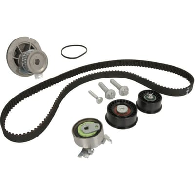 Schaeffler Ina Waterpomp+distributieriem set INA 530 0441 30