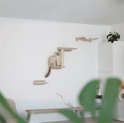 Quvo® Katten Klimmuur – Katten Klim Wand 5 delige Set – Wandmeubel Kat Inclusief Muurbevestiging – Katten Krabpaal - Beige - 45cm x 34cm x 20cm
