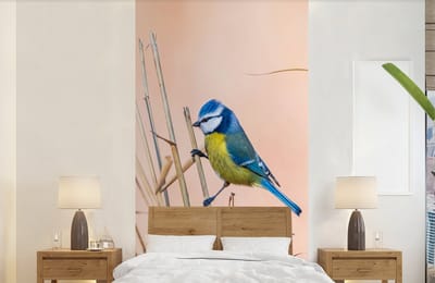 Behang - Fotobehang Vogel - Pimpelmees - Riet - Breedte 120 cm x hoogte 240 cm