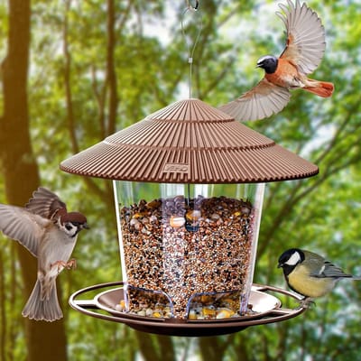 Hangende Zwarte Vogelvoederstation voor Wilde Vogels - Voederdispenser voor Tuinvogels en Vogelopvang
