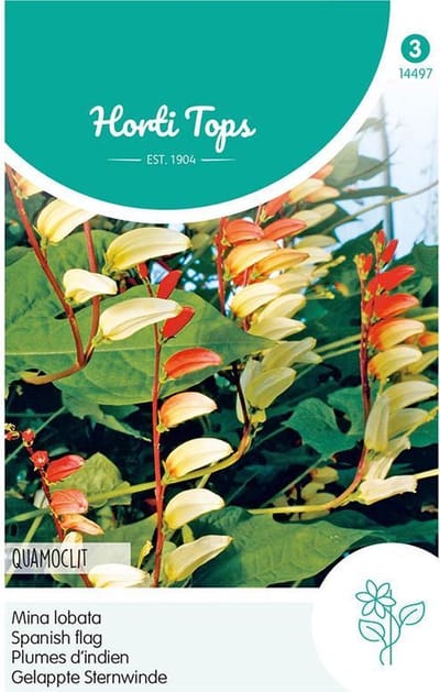 Hortitops - bloemzaad - Mina Lobata - Spaanse vlag Quamoclit