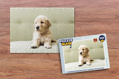 Puzzel Golden Retriever puppy liggend op de bank - Legpuzzel - Puzzel 500 stukjes