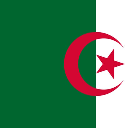 Vlag Algerije 300x450cm