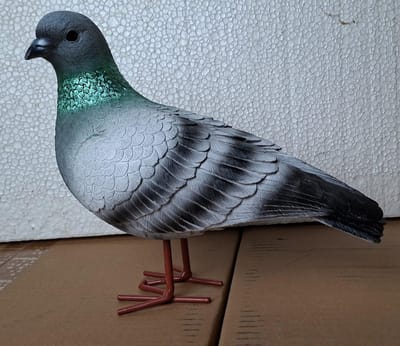 Realistisch Duiven beeld - Kijkt naar Links - Polystone - Gedetailleerde Decoratie - 20 cm Hoog