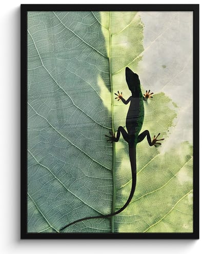 Poster in lijst - Fotolijst 60x80 cm - Posters - Hagedis - Blad - Nerven - Groen - Posterlijst zwart - Decoratie - Wanddecoratie woonkamer - Muurdecoratie slaapkamer