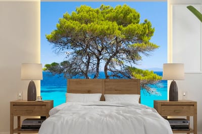 Behang - Fotobehang Boom - Zee - Tropisch - Zomer - Breedte 280 cm x hoogte 280 cm