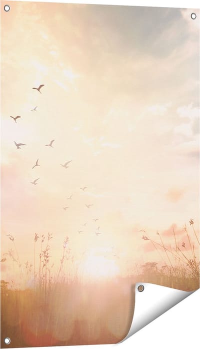 Gards Tuinposter Silhouet Vogels tijdens Zonsopkomst - 60x90 cm - Tuindoek - Tuindecoratie - Wanddecoratie buiten - Tuinschilderij