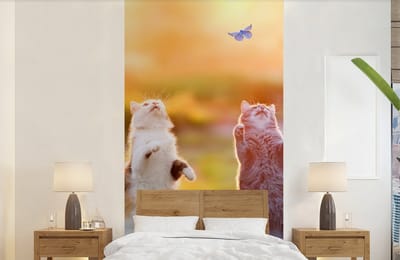 Behang - Fotobehang Katten - Vlinder - Zonsondergang - Gras - Natuur - Breedte 120 cm x hoogte 240 cm