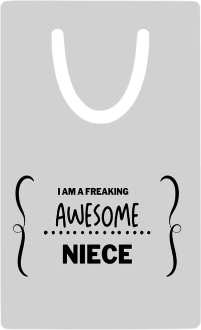 Hacebo® - I am a freaking awesome niece metalen boekenlegger - Nicht - beste nicht - liefste nicht - verjaardag - cadeau - kado - bedankje - geschenk Bladwijzer boekenleggers - 7.6 cm x 5cm