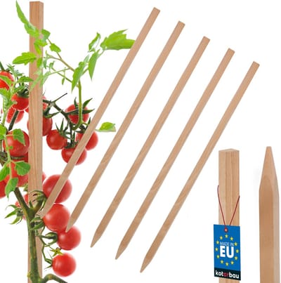 Kotarbau - Plantensteun - 30 CM - Houten Stokken - Set van 5