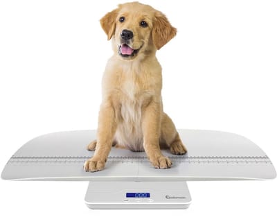 Digitale Dier- en Babyweegschaal tot 100 kg | Nauwkeurig Wegen voor Kat, Hond, Konijn en Pasgeborene