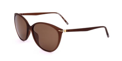 Rodenstock Sunglasses R7412 B 57 Titanium