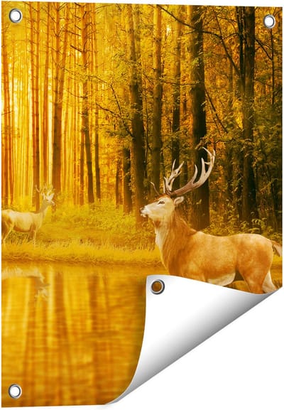 Gards Tuinposter Twee Herten in het Bos bij het Water - 40x50 cm - Tuindoek - Tuindecoratie - Wanddecoratie buiten - Tuinschilderij