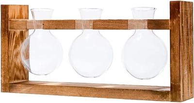 Planten Kweekstation - Mini Terrarium Hydrocultuur Vaas - Planten Vermeerderen - U-Frame Ontwerp - 28 x 13 x 6 cm