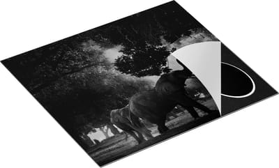Chefcare Inductie Beschermer Twee Olifanten in het Bos - Zwart Wit - 60x50 cm - Afdekplaat Inductie - Kookplaat Beschermer - Inductie Mat