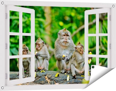 Gards Tuinposter Doorkijk Groep Apen Eten Bananen in het Bos - 90x60 cm - Tuindoek - Tuindecoratie - Wanddecoratie buiten - Tuinschilderij