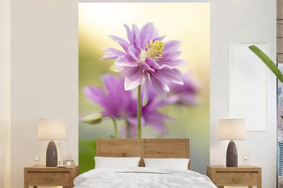 Behang - Fotobehang Close-up akelei - Breedte 170 cm x hoogte 260 cm