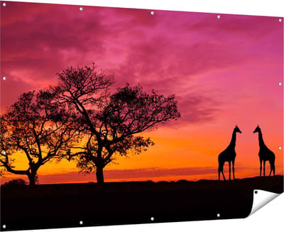 Gards Tuinposter Twee Giraffe Silhouetten bij Zonsondergang - 180x120 cm - Tuindoek - Tuindecoratie - Wanddecoratie buiten - Tuinschilderij