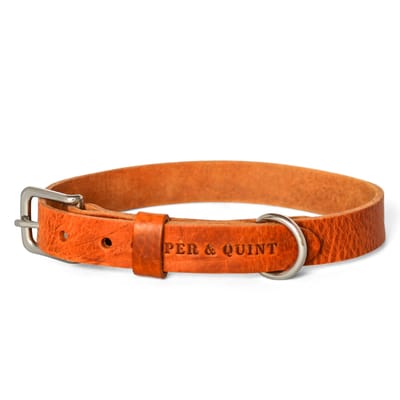 Cooper & Quint No Fuss - Halsband Hond - Leren Halsband Hond - Camel - Zilver - Small