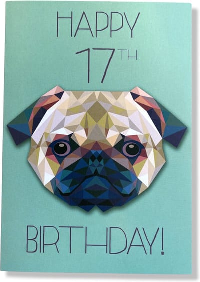 Hoera 17 Jaar! Luxe verjaardagskaart - 12x17cm - Gevouwen Wenskaart inclusief envelop - Leeftijdkaart