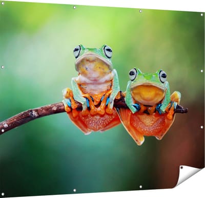 Gards Tuinposter Twee Boomkikkers op een Tak - 150x120 cm - Tuindoek - Tuindecoratie - Wanddecoratie buiten - Tuinschilderij