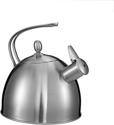 Waterkoker Roestvrij Staal - Theepot Fluitketel - Water Koken - Verdikte Bodem - Niet gespecificeerd - Zilver