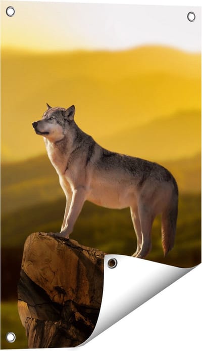 Gards Tuinposter Wolf op een Rots met een Heuvel Landschap - 40x60 cm - Tuindoek - Tuindecoratie - Wanddecoratie buiten - Tuinschilderij