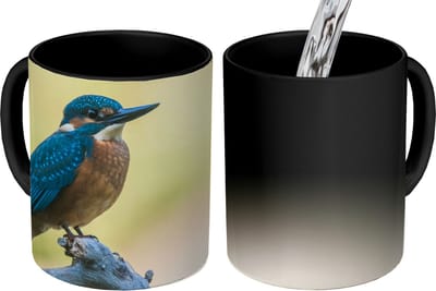 Magische Mok - Foto op Warmte Mokken - Koffiemok - IJsvogel - Tak - Vogel - Magic Mok - Beker - 350 ML - Theemok