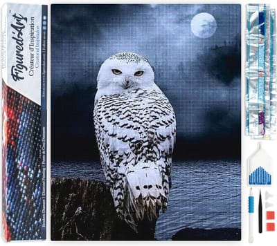Figured'Art Diamond Painting set Volwassenen 40x50 cm Witte Uil - 5D DIY Art full drill vierkante diamant - Opgerold canvas