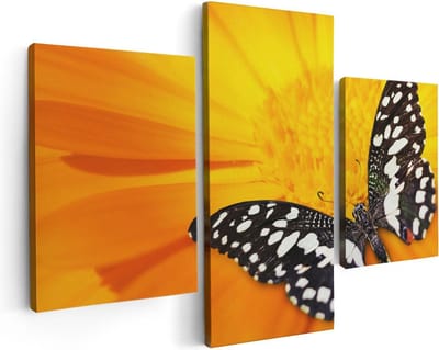 Artaza Canvas Schilderij Drieluik Vlinder Op Een Oranje Bloem - 90x60 - Foto Op Canvas - Canvas Print