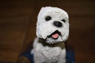 westhighland white terrier