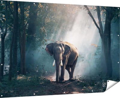 Gards Tuinposter Olifant in het Bos met Zonneschijn - 180x120 cm - Tuindoek - Tuindecoratie - Wanddecoratie buiten - Tuinschilderij