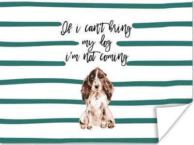 Poster If I can't bring my dog I'm not coming - Quotes - Spreuken - Honden - 160x120 cm XXL